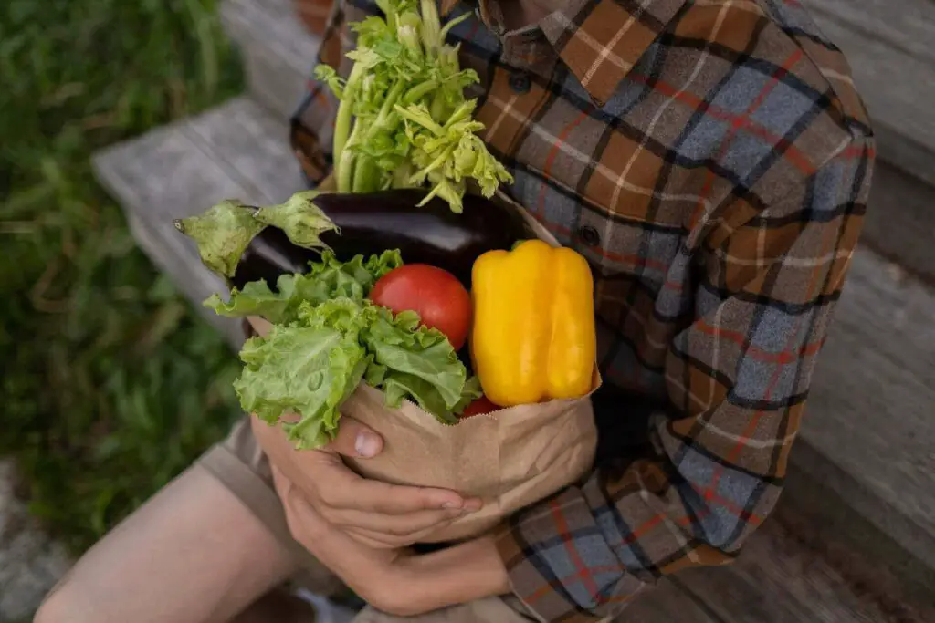 Man holding a bag with vegetables